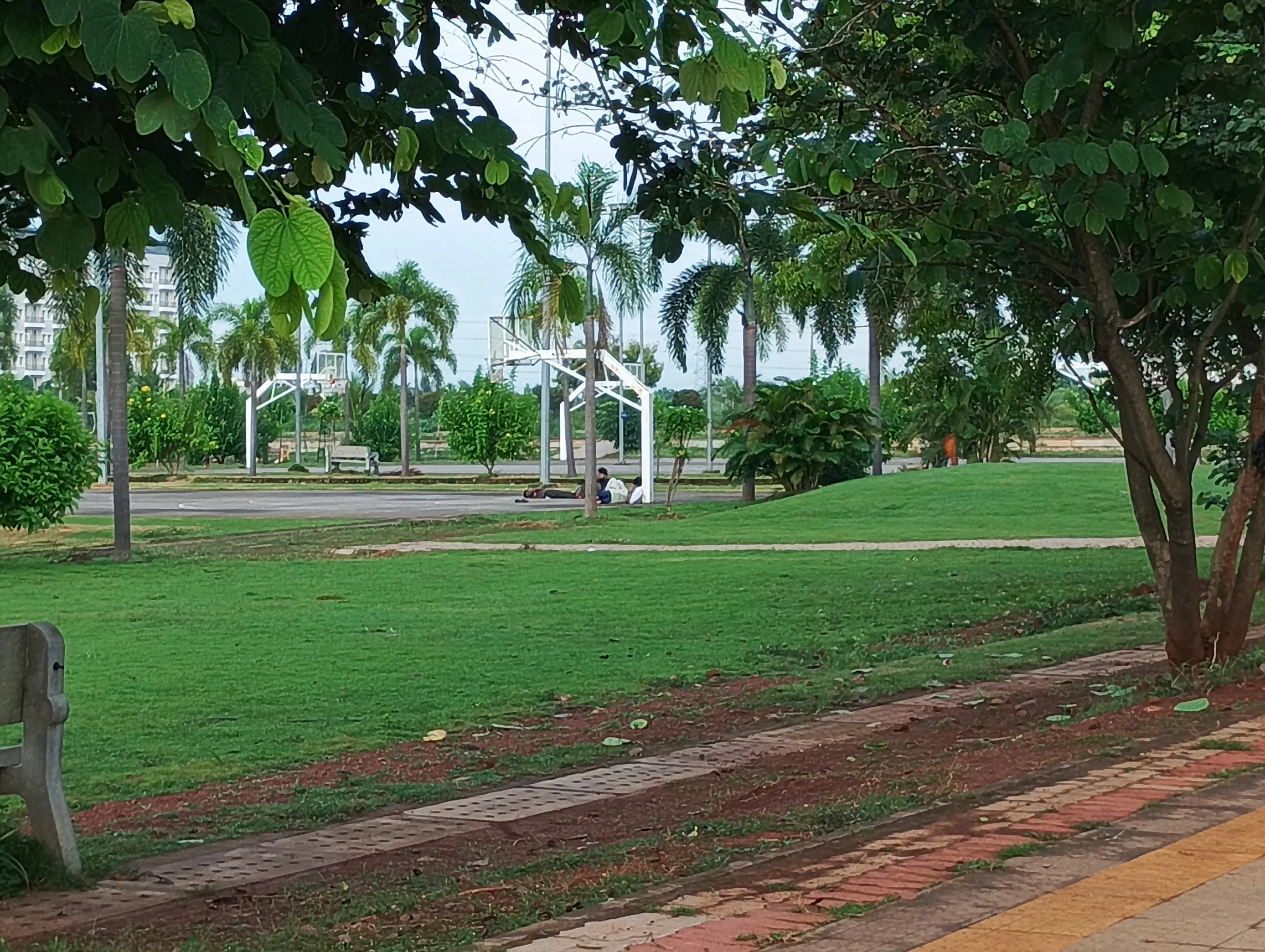 IIT Bhubaneswar Play Ground photo 5